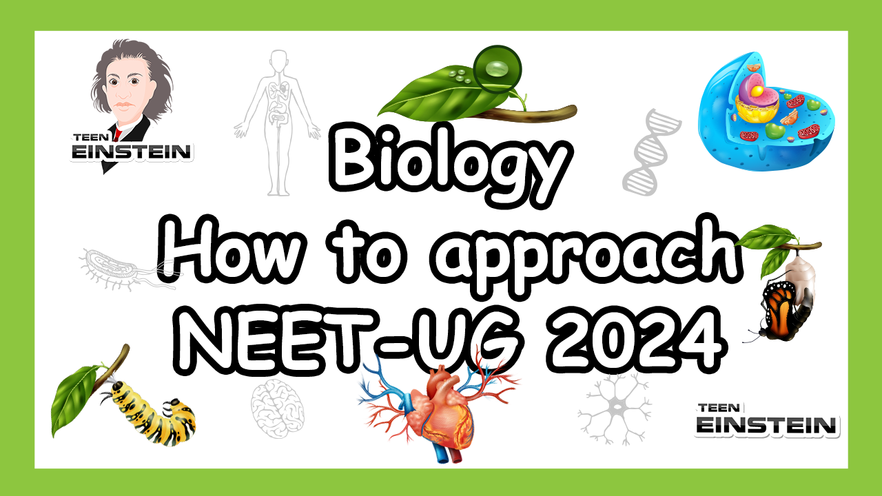 NEET Biology  Twelfth Grade | Biology | NEET Biology | How to approach NEET UG 2024 Biology | NEET UG 2024 Exam Preparation| Tips and Tricks | How to Memorise the NEET Physics | How to score full marks in NEET? | How do start preparing for NEET? |How to Answer Tricky MCQs in NEET Exam? | Scoring Big in NEET Biology | NEET Preparation Tips | NEET Questions Paper |  Mistakes You Should Avoid as A NEET Aspirant! | Neet Exam Motivation for Neet Aspirants | planning for NEET | neet syllabus discussion | Part 2