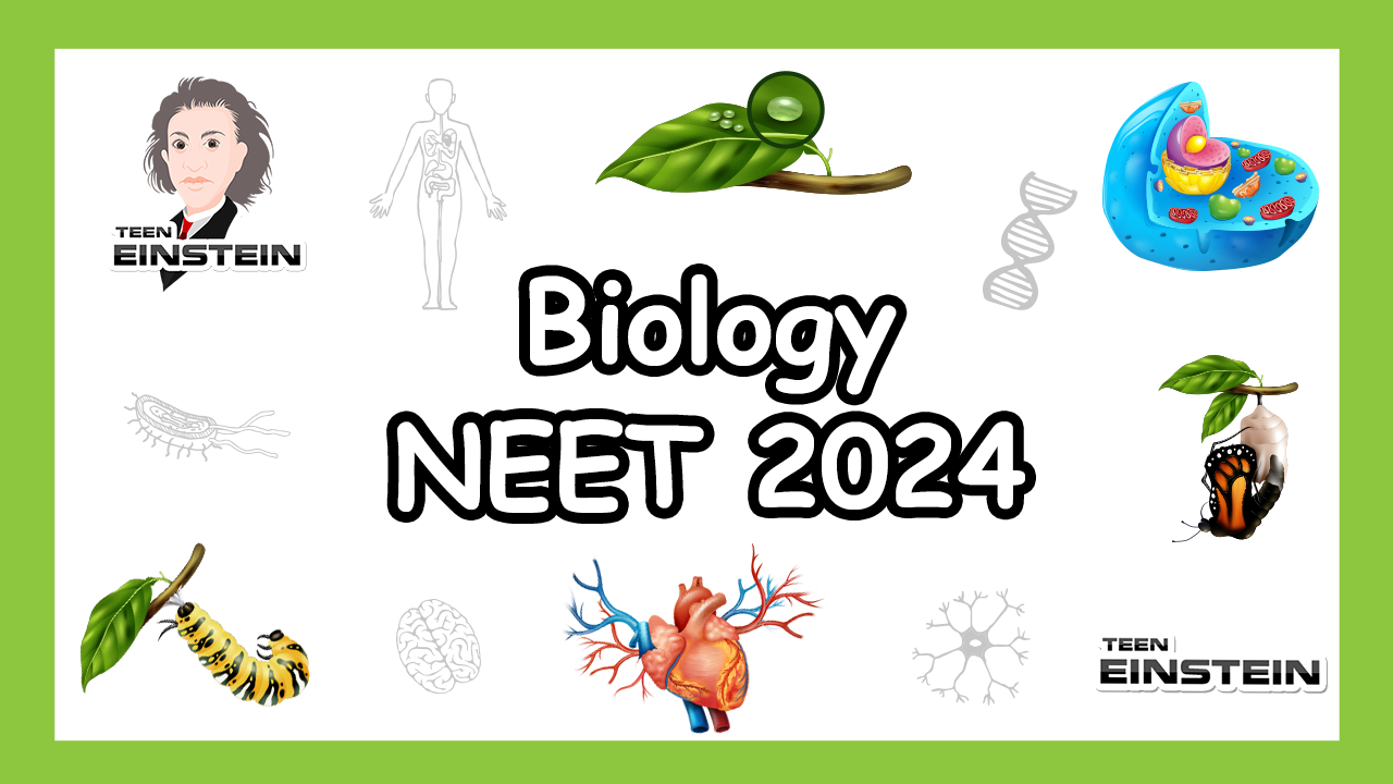 NEET Biology  Twelfth Grade | Biology | NEET Biology | Biology | NEET Biology 2024 | Chapter 17 | Human Respiratory System, Mechanism of breathing, Respiratory Volume and Capacities, Exchange and Transport of Gases, Respiratory disorders
